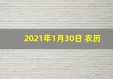 2021年1月30日 农历